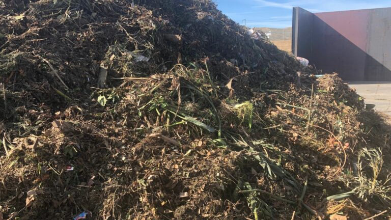 A large pile of organic waste, consisting of grass clippings, leaves, branches, and other plant materials, is heaped outside in a sunlit area. A metal wall or container is visible in the background against a clear sky.